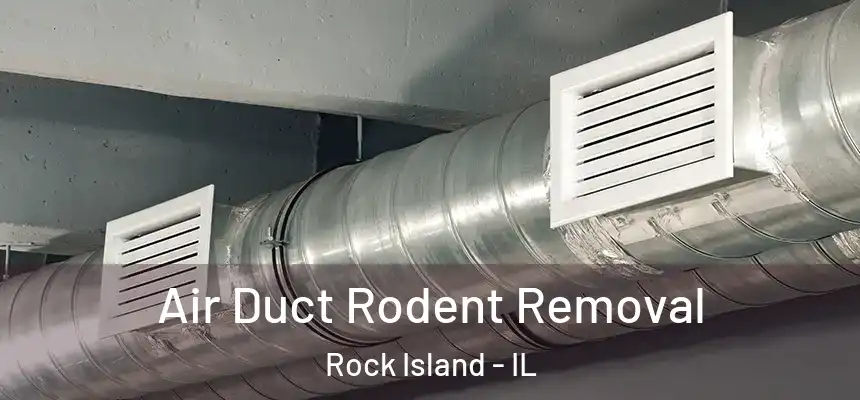  Air Duct Rodent Removal Rock Island - IL