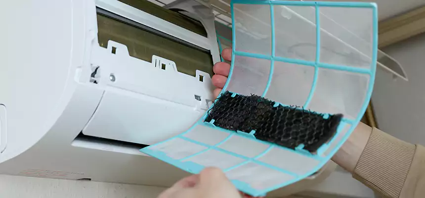 Gentle Ductwork Odor-Control Pet Dander Duct Cleaning in Rock Island, IL