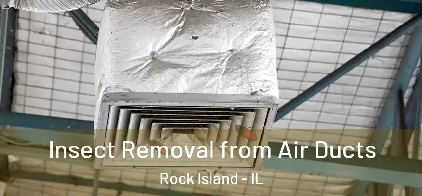  Insect Removal from Air Ducts Rock Island - IL