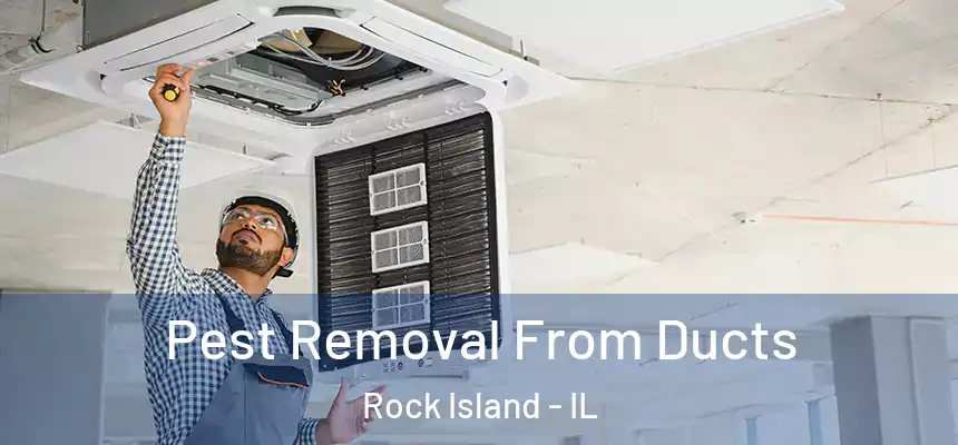 Pest Removal From Ducts Rock Island - IL