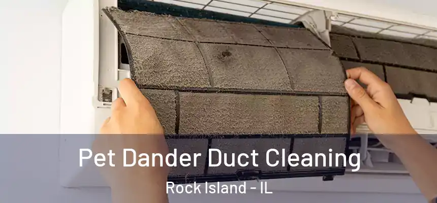  Pet Dander Duct Cleaning Rock Island - IL