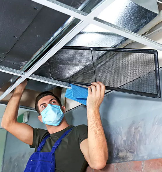About Air Duct Bacteria Removal in Rock Island