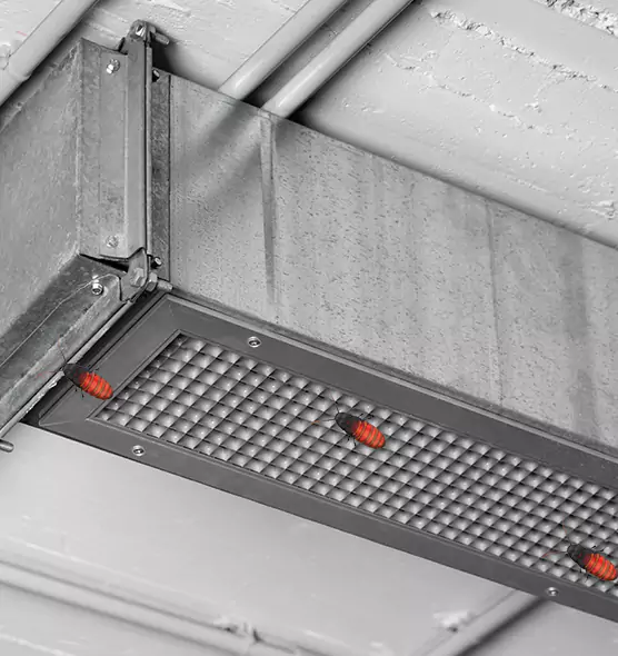 About Air Duct Cockroach Removal in Rock Island, IL