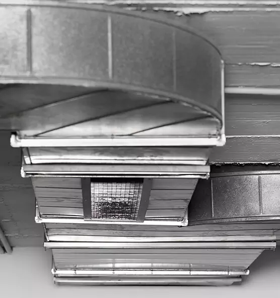 Professional Air Duct Pet Hair Removal in Rock Island, IL