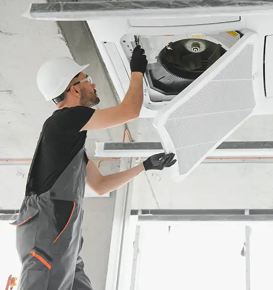 About Air Duct Rodent Removal in Rock Island, IL