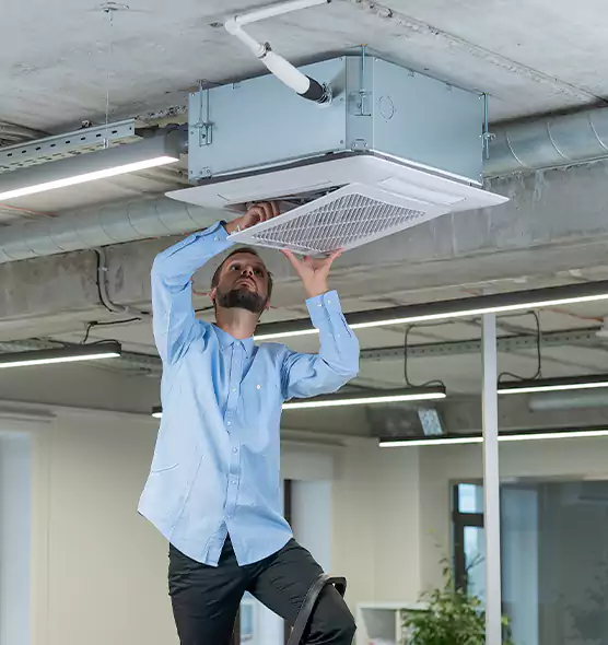 Advanced Rodent Droppings In Vents in Rock Island, IL