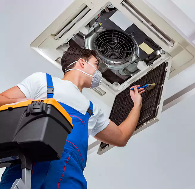 Why Homeowners & Businesses Trust Us in Rock Island, IL