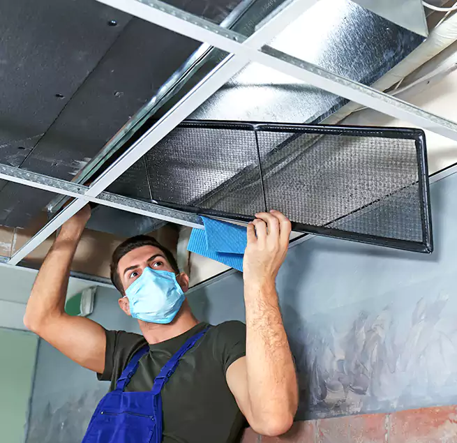 Why Homeowners Businesses Trust Us in Rock Island, IL